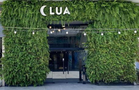 Lindo Studio no OKA Floripa - Campeche - SOK218 - Foto 47