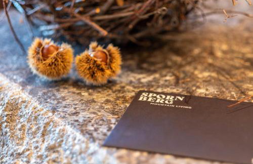 Spornberg Mountain Living Nordberg - Photo 21