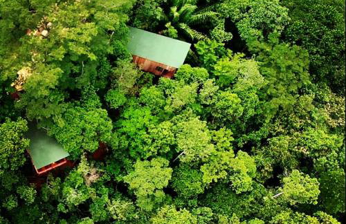 La Luciole Ecolodge - Foto 13