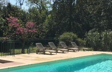 Château Pech-Celeyran - Foto 28