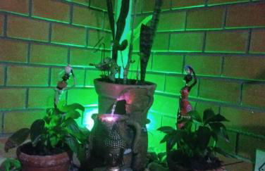 Sol do Girassol - Foto 4