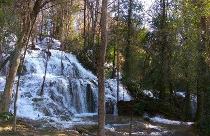 Šimun&Jakov - Foto 67