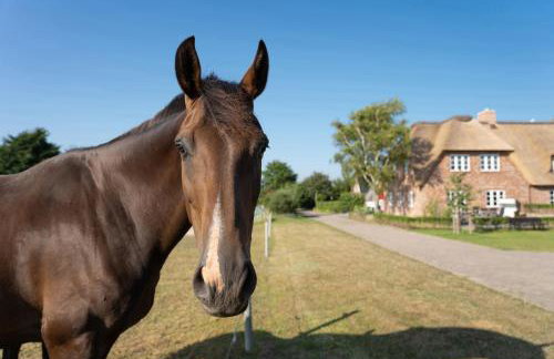 Haus Inselurlaub Hausteil 2 - Foto 32