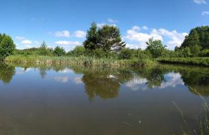 Brzozowy Zakątek - Foto 20