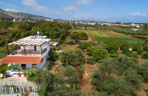 Eliva house - Foto 45