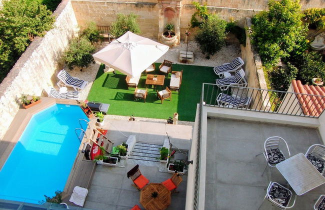 Maltese Maltese - Foto 1