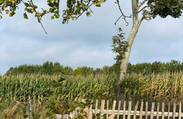 Ferienwohnung „Klüterkamer“ - Hof Mühlenkoppel - Foto 47