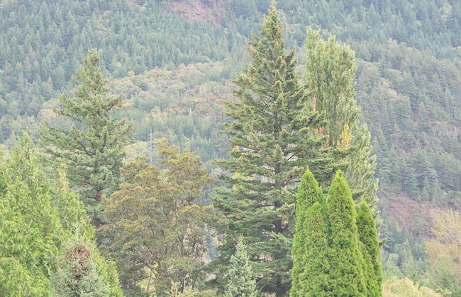 Stylish Urban Retreat 2BR Condo - Photo 67