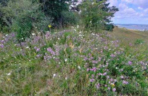 Ferienhaus "Sommerbrise" - Foto 58