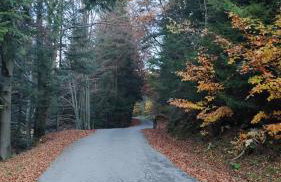 Dom lub apartamenty z widokiem na góry Wichrowe Wzgórza z basenem Brenna - Foto 39