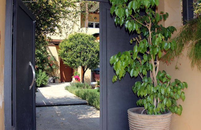 Lida Garden - Foto 53