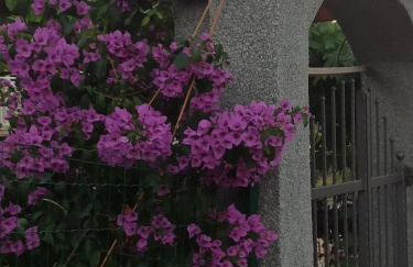 Apartmani Mislav - Photo 36