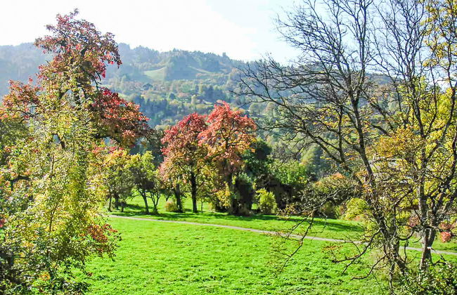 les Huskies - Foto 7