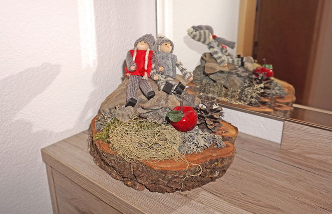 Apart Dawin - Foto 21