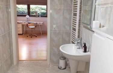 Radebeul mit Flair - Foto 8