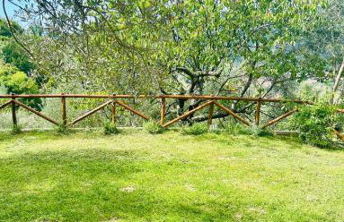 Podere Il Piantoneto - Foto 54