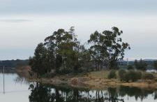 Monte das Hortas Velhas - Foto 48