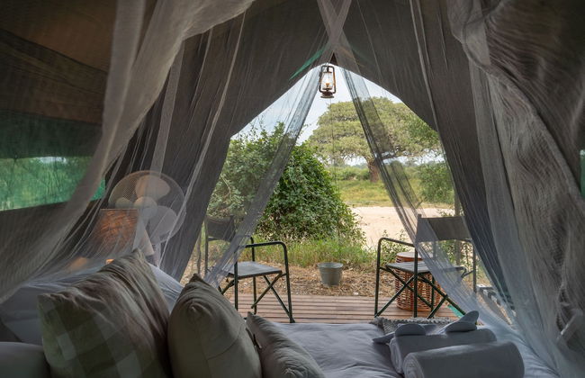 Kruger Untamed - Tshokwane River Camp - Photo 12