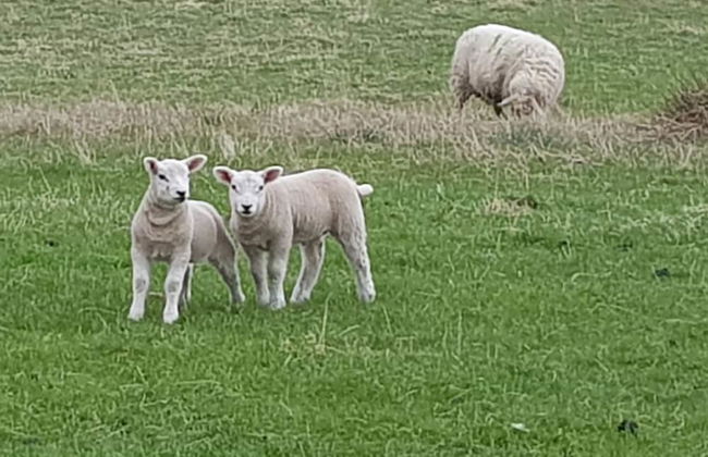 Black Isle Holiday Apartments - Foto 51