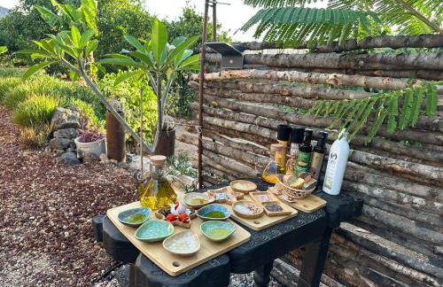 Afrikan Krisant Tenerife, Casa Rural Ecologica - Foto 17