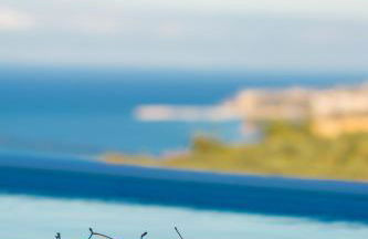 Georgianna's suite with private pool , 'greysuite' - Foto 4