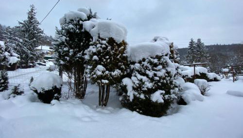 Dom do wynajęcia "Zawojski Zakątek" - Foto 5, Garden