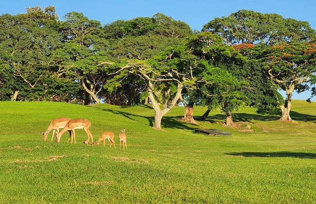 San Lameer Villa Rentals 1924 - Foto 28