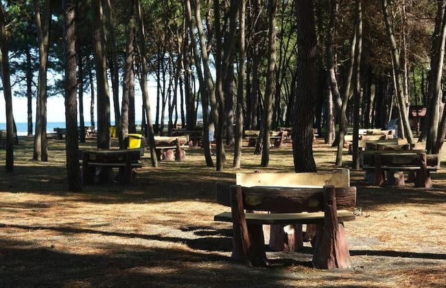 ÇINARSUYU TABİAT PARKI BUNGALOV - Foto 20