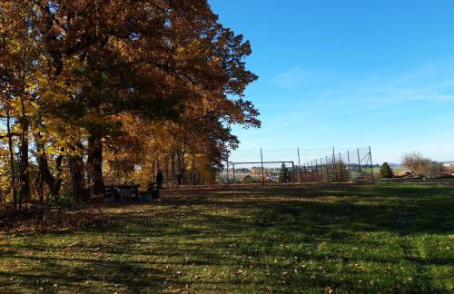 Ferienwohnung im Seidlerhof mit Terrasse - Foto 39