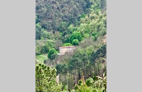 Le Gîte - La Ferme du Pouget - Foto 23