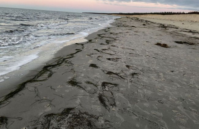 Katis Nest Comfortable Holiday Residence - Photo 23