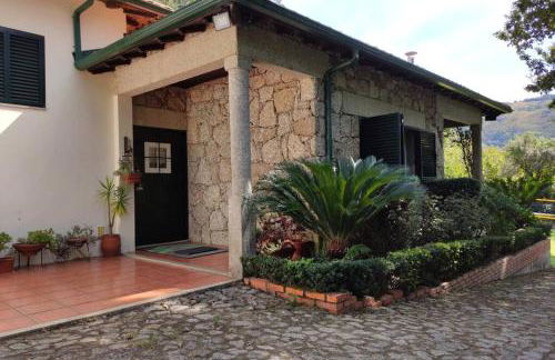 Green Villa Gerês - Foto 5