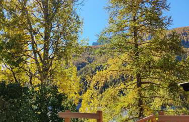 Chalet Ailleurs Appartement à Molines en Queyras - Foto 6