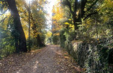 Borgo Montefreddo Toscana - Foto 46