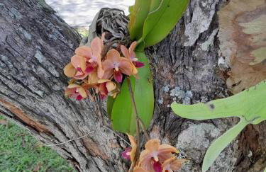 Mansion in the mountains - Foto 40