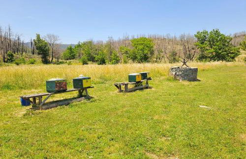 Timber Dream - Photo 21