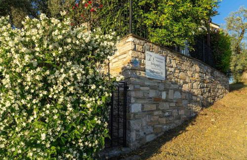 Andromachi - Foto 12