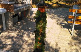 Studio Manora Sucuraj - Foto 19