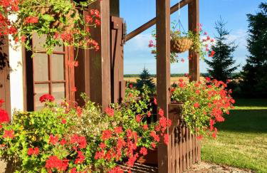 Miętkie Pole - Foto 5