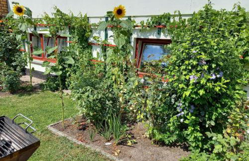 Wohnung in Alt Bukow mit Garten - Foto 85
