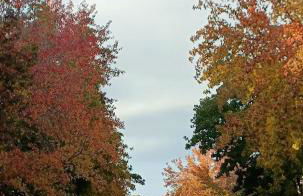 a Roma da Fabiola - Photo 39