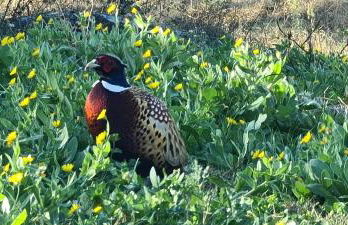 Quinta da Utopia - Foto 54