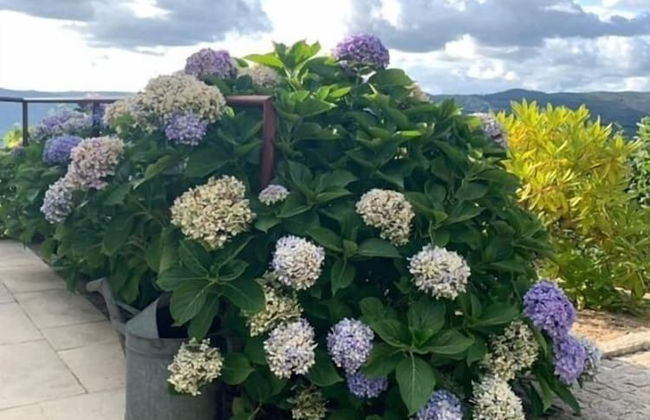 Vald'arêgos Douro Turismo Rural - Foto 42