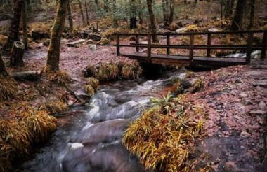 The Artists Studio - Foto 13