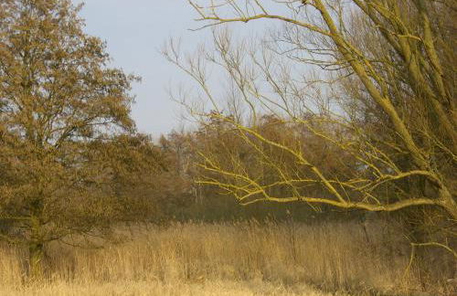 Stadtwohnung - Foto 26