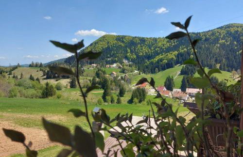 Apartman Skender 3* Ravna Gora - Foto 77