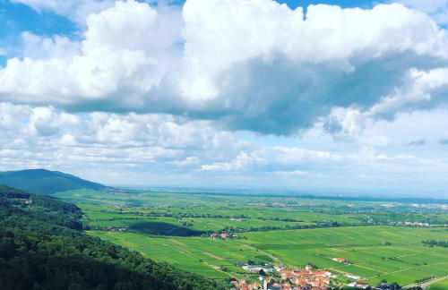 Ferienwohnung Südpfalz mit Fernblick - Foto 24