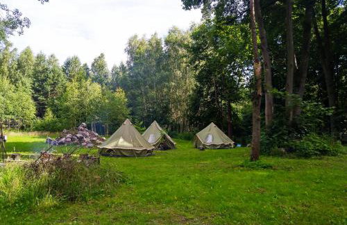 Leśna Polana - Foto 71