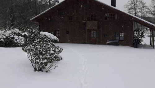 Le Grand Chalet - Foto 2