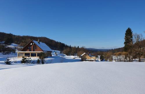 Wilcza Dolina - Foto 18